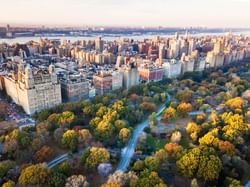 View of Central Park near the ArtHouse Hotel New York City