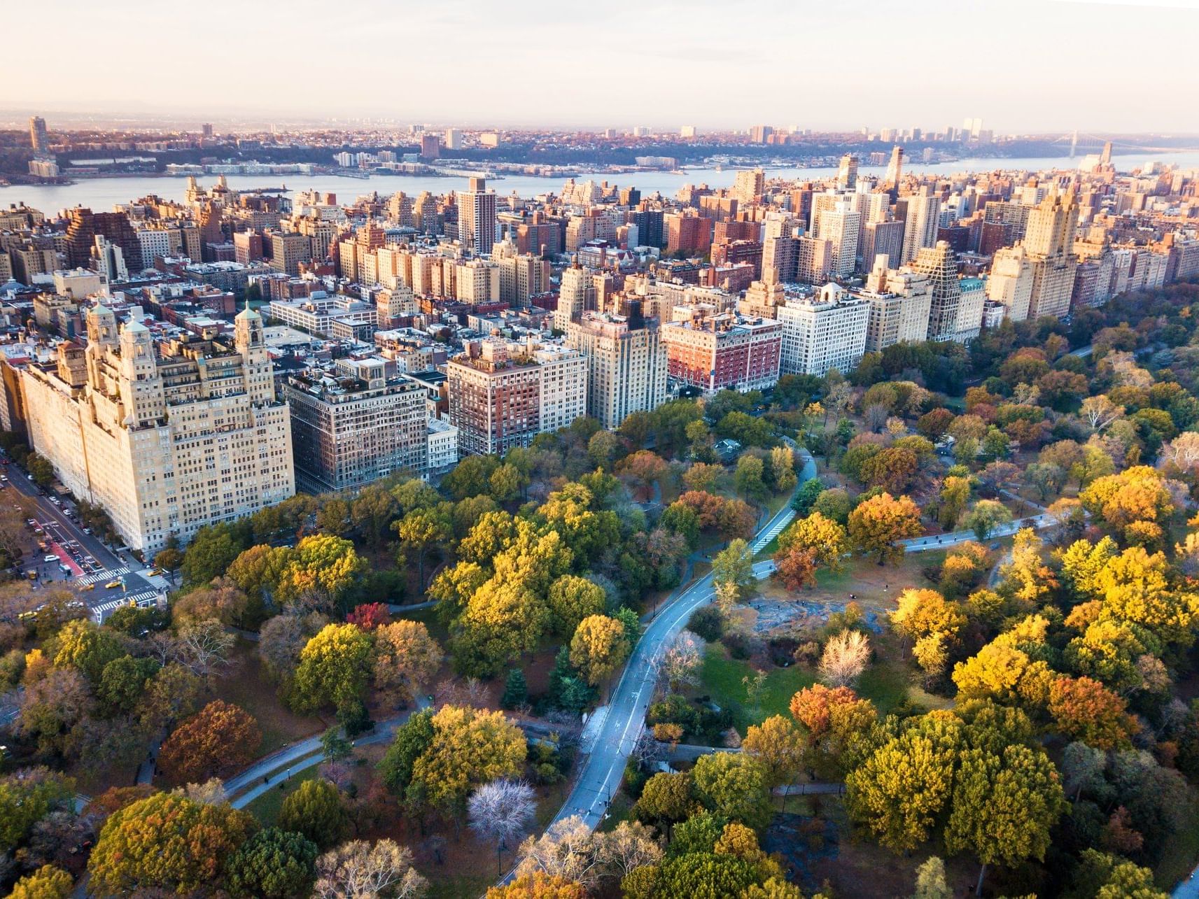 View of Central Park near the ArtHouse Hotel New York City
